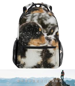 School College Backpack, Rucksack